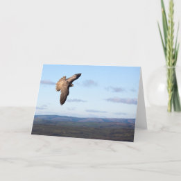 Cartão Falcon Flight