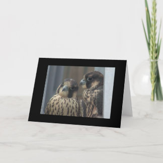 Cartão Falcon note card