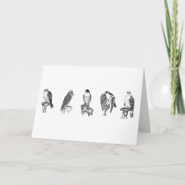 Cartão Falconry Studies Birthday Card (Frente)