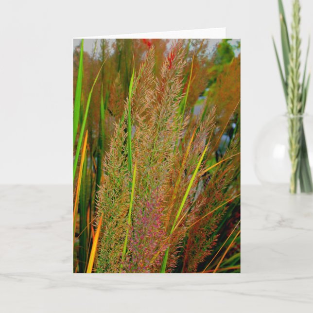 Cartão Fall collection note card (Frente)