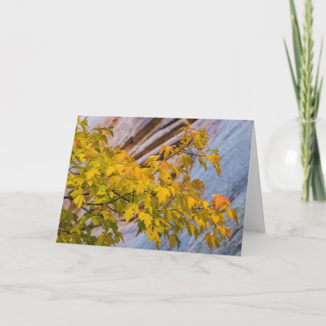 Cartão Fall Colors (Frente)