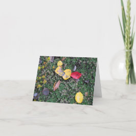 Cartão Fall Colors Sympathy Card