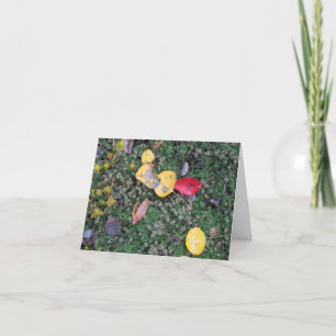Cartão Fall Colors Sympathy Card