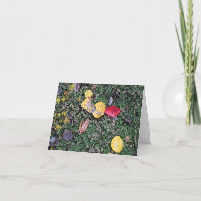 Cartão Fall Colors Sympathy Card (Frente)