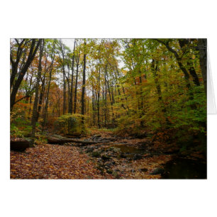 Cartão Fall Creek em Laurel Hill State Park na Pensilvâni