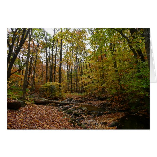 Cartão Fall Creek em Laurel Hill State Park na Pensilvâni (Frente Horizontal)