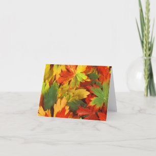 Cartão Fall Foiliage Note Card