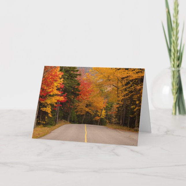Cartão Fall Foliage New Hampshire Blank Card (Frente)