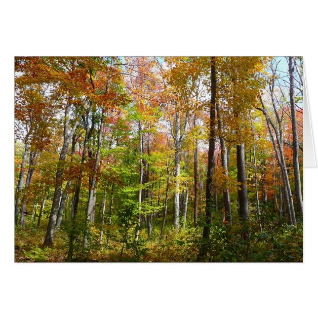 Cartão Fall Forest I Autumn Landscape Photoshop (Frente horizontal)