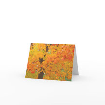 Fall Maple Tree Pioneers Park Card  6