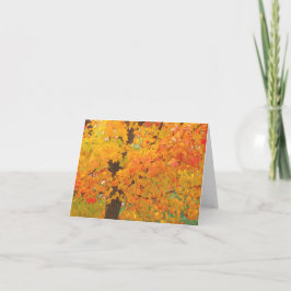 Cartão Fall Maple Tree Pioneers Park Card 6