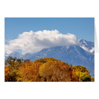 Cartão Fall Morning