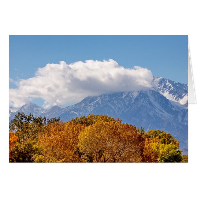 Cartão Fall Morning (Frente horizontal)