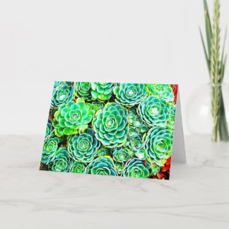 Cartão Fall Succulent Note Card