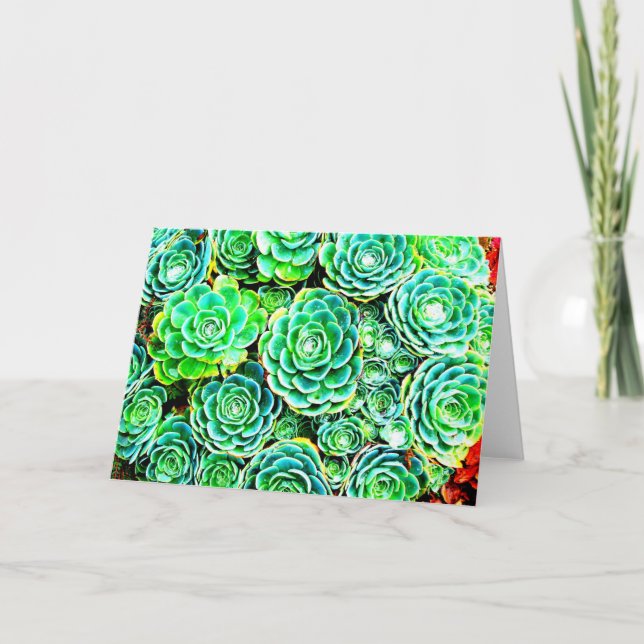 Cartão Fall Succulent Note Card (Frente)
