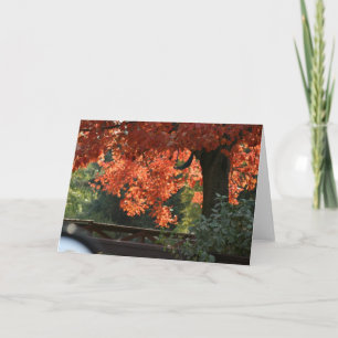 CARTÃO FALL TREES SEASONAL NOTE CARDS