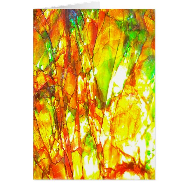 Cartão Falln Sunset Ammolite (Frente)