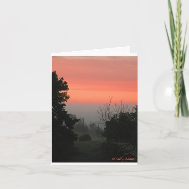 CARTÃO FALLS IN THE AIR (Frente)