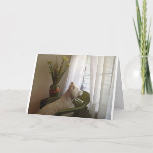 Cartão Faltando o…