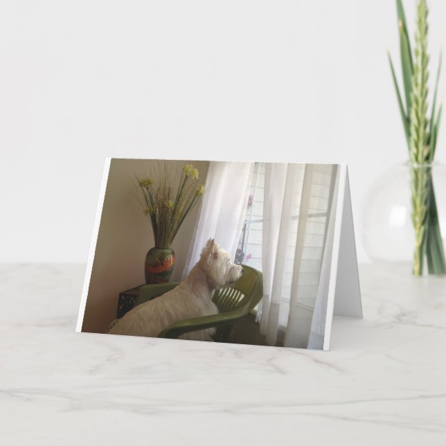 Cartão Faltando o… (Frente)