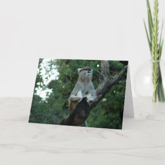 Cartão Faltando você