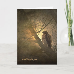 Cartão faltando você-hawk na árvore
