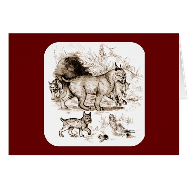 Cartão Família Bobcat (Frente horizontal)