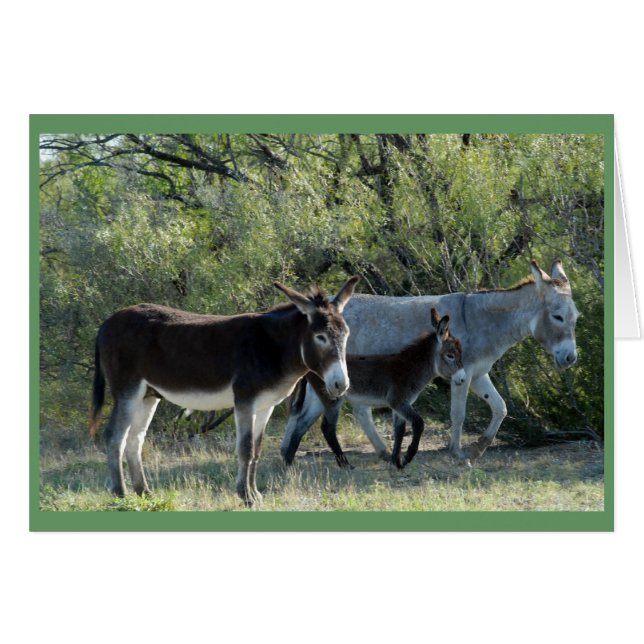 Cartão "Família Burro" (Frente Horizontal)