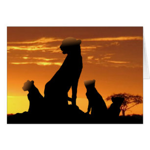 Cartão Família Cheetah