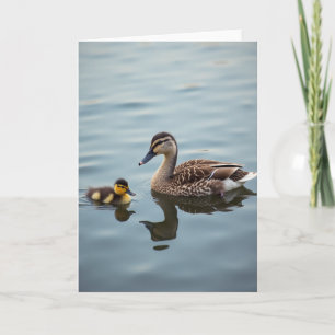 Cartão Família de Aves Aquáticas Matte Card