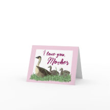 Família de Ganso Nene Havaiano no Dia das Mães