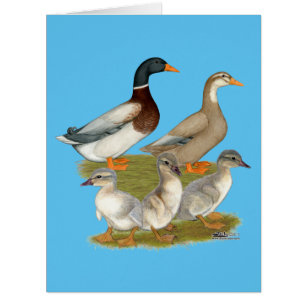 Cartão Família de Patos da Saxónia