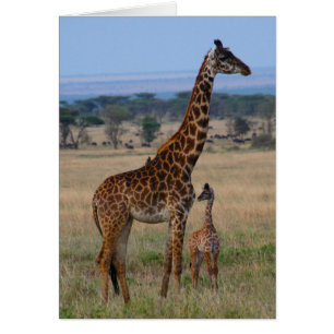 Cartão Família do girafa