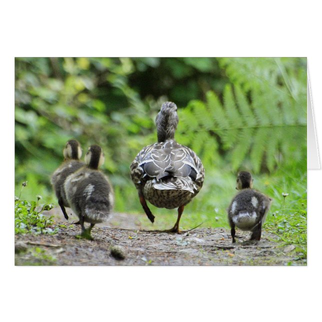 Cartão Família Duck (Frente Horizontal)