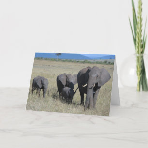 Cartão Família Elefante