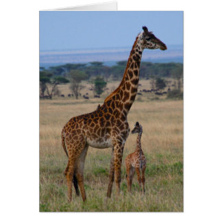 Cartão Família Giraffe