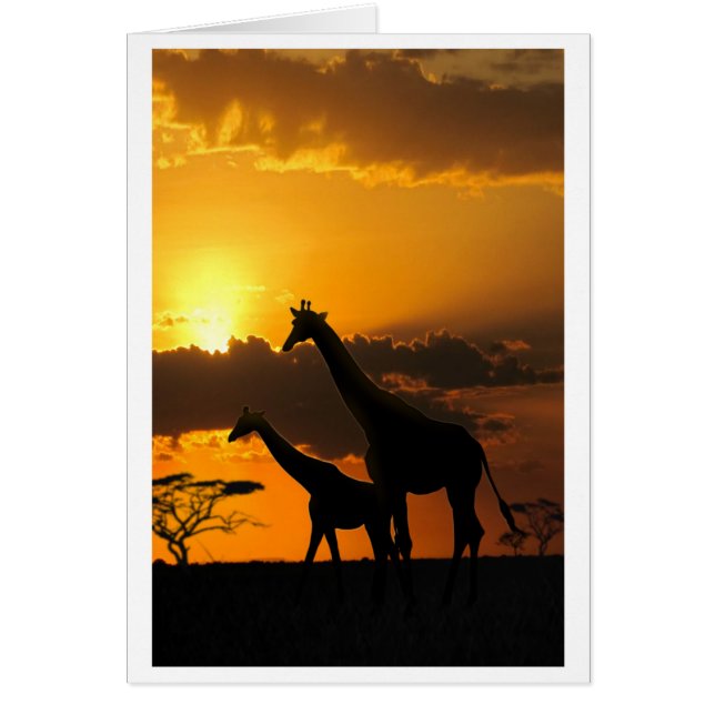 Cartão Família Giraffe 2 (Frente)