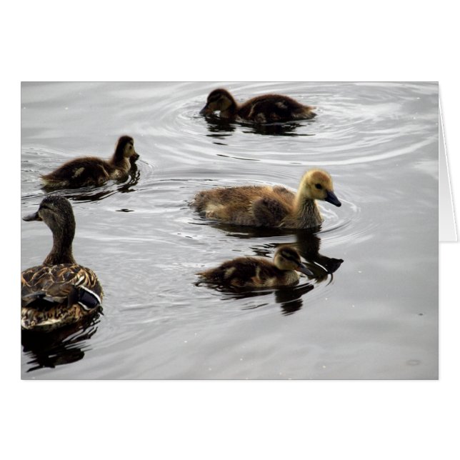 Cartão Família nova (Frente horizontal)