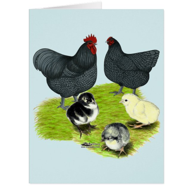 Cartão Família Orpington Blue Chicken (Frente)