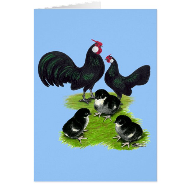 Cartão Família Rosecomb Black Bantam (Frente)