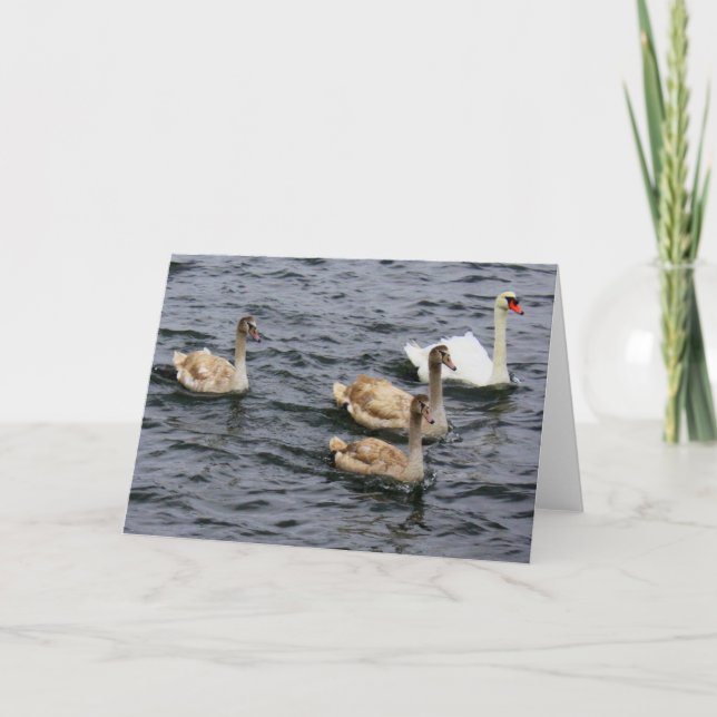 Cartão Família Swan (Frente)