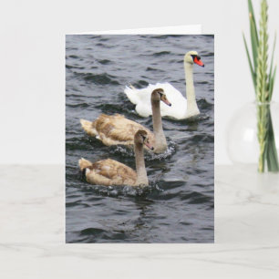 Cartão Família Swan - Dia de as mães Feliz