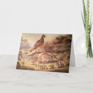 Cartão Family of Quail Greeting Card