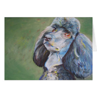 Cartão Fanfarrão, caniche padrão