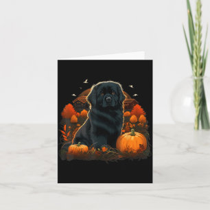 Cartão Fantasias de Abóbora Newfie em Cão Terra Nova