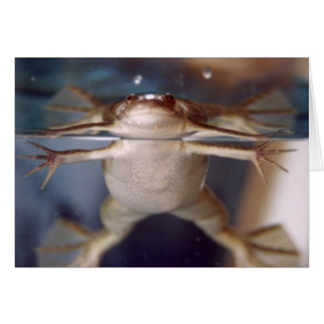 Cartão Fantasma de Muitas Pernas (Frente Horizontal)