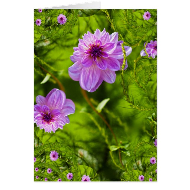 Cartão Fantasy Pink Dahlia (Frente)