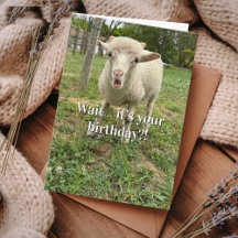 Farm Animal Sheep Cute Barnyard Funny Birthday