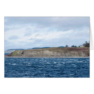 Cartão Farol Almirante