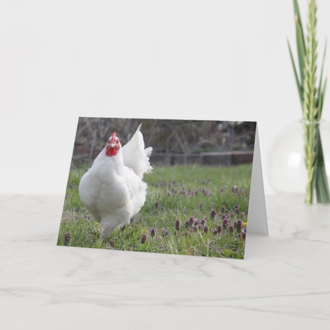 Cartão Fat White Hen Greeting Card (Frente)